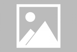 91地址直播视频,精彩瞬间回顾